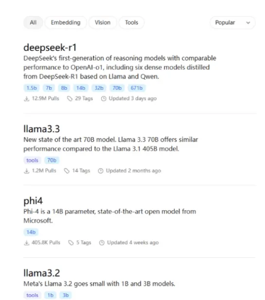 DeepSeek本地部署保姆级教程，0基础有手就会！(图1)