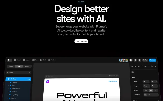 Framer(图1)