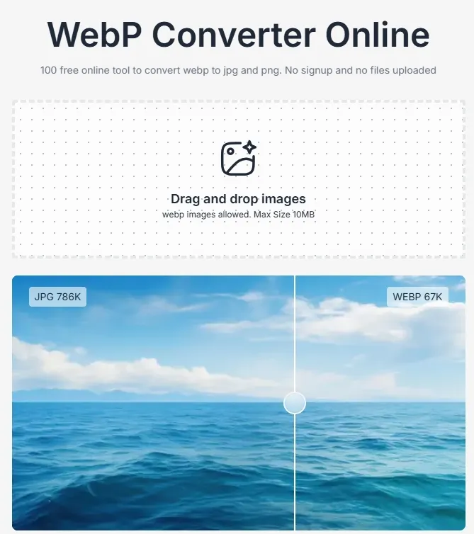 AnyWebpP(图1)
