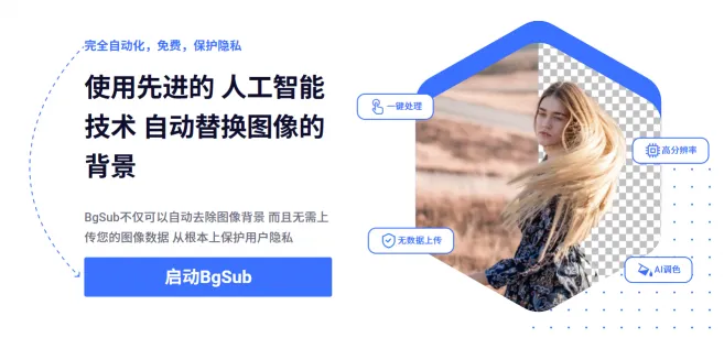 BgSub(图1)